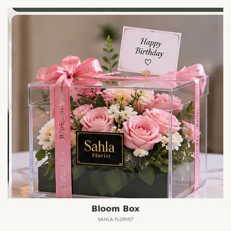 Bloom Box Darmo
